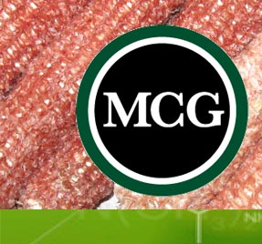 MCG Biocomposites.com - MCG BioComposites provides raw materials that enable your operation to proudly provide ecologically sound products that adhere to the principles of recycling 